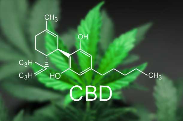 Starting Your Own Business: Hopping On The CBD Train | PcDrome.com