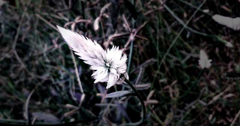 Stay At Sagar, Karnataka