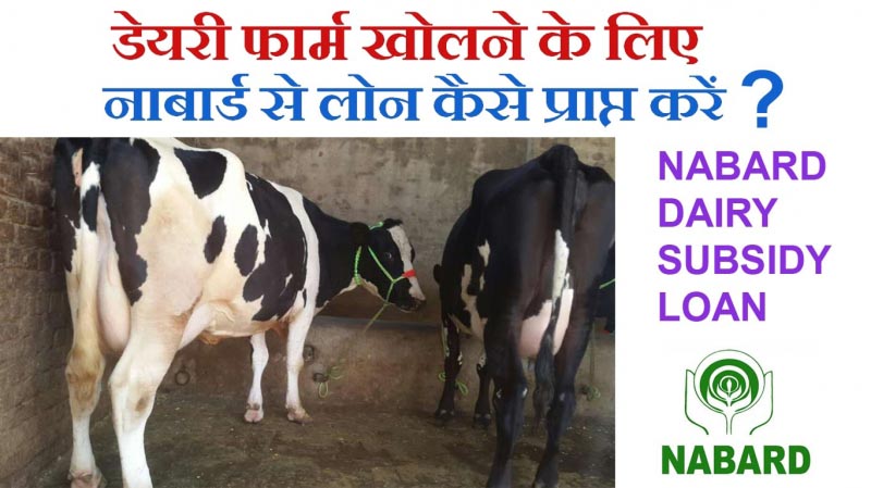 Step By Step Guide Nabard Subsidy Loan Scheme For Dairy Farming