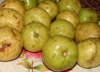 Stewed Guavas With A Difference!