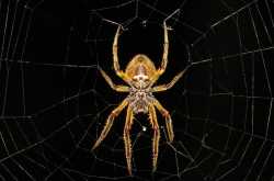 stick to your core or beat yourself !