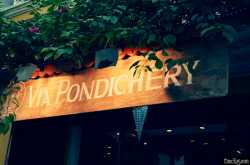 Stills from a Silent Saga