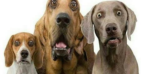 Stop With The Lessons, OK?.