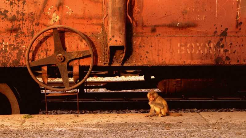 Stop At Barhan - An Old Railway Station In Agra