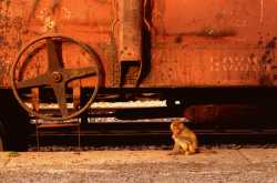 stop at barhan - an old railway station in agra