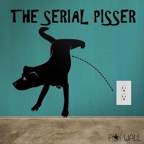 Story : The Serial Pisser