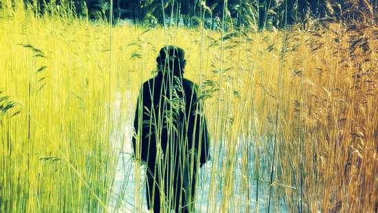 Stranger!13 Min Read