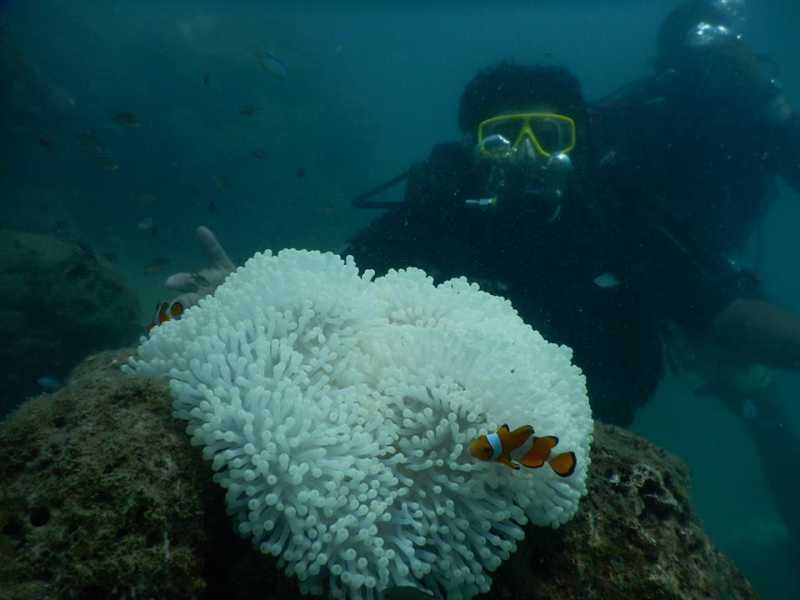 Stranger In A Strange Sea