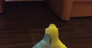 Strangers ! Connected !