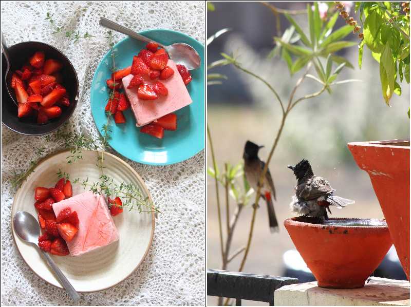 Strawberry Thyme Semifreddo