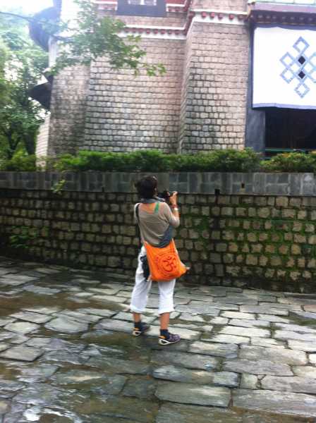 Streets Of Himachal: Tourists (Stereotyped)