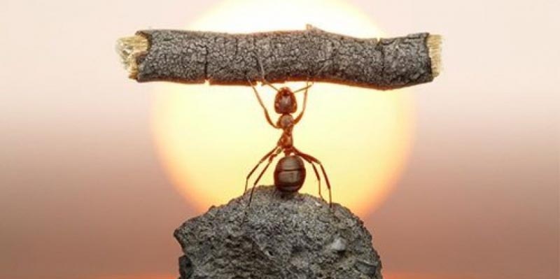 Strength - The Internal Buildup