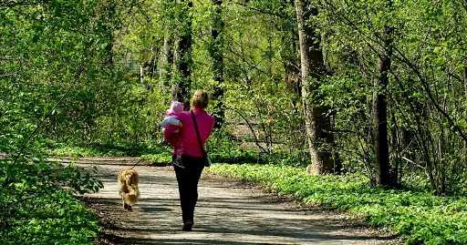 Stress Relief Tips For Busy Moms