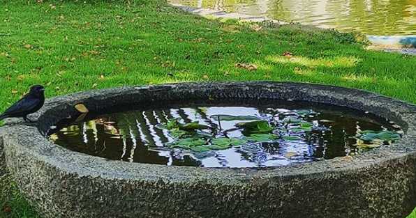 Stressed Out? Look At Nature, Feel Calm Instantly!