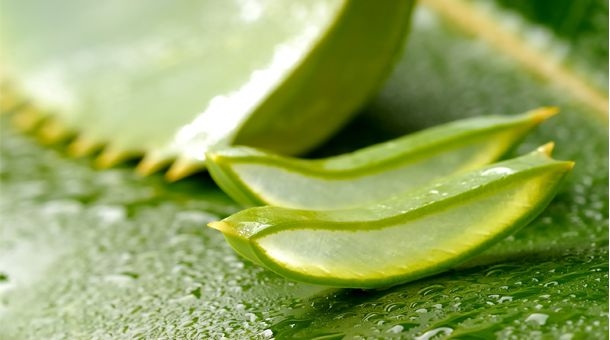 Stretch Marks: Guaranteed Home Remedies To Remove Stretch Marks - HealthVeda