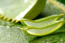 Stretch Marks: Guaranteed Home Remedies to Remove Stretch Marks - HealthVeda