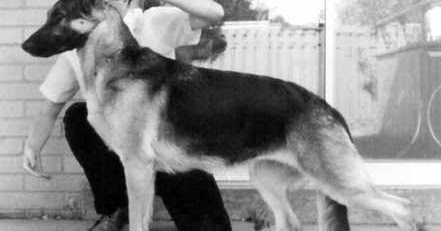 Stride Without Extremes