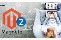 Studies Reveal How Magento 2 Drives Revenue Growth