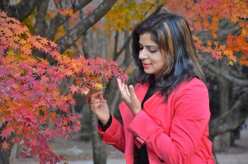 Stunning Naejangsan Fall Foliage Pictures & Travel Details - Sweet Sharing