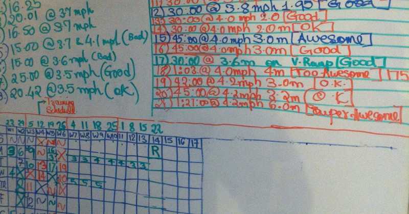 Success Factor: Showing Up