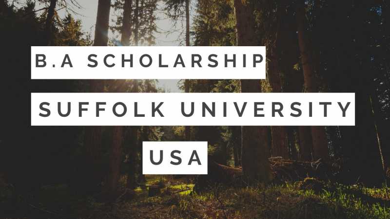 Suffolk University Scholarship BA In Art History | Fully Funded Scholarship