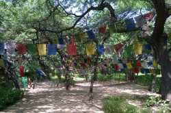 Sufism | Bridging religions