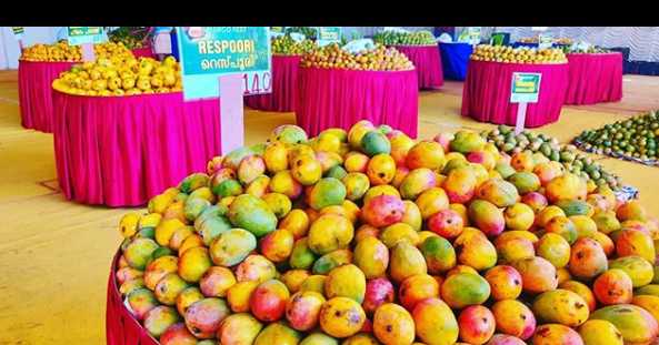 Summer Vacations In India: Remembering The 80s With Nostalgia