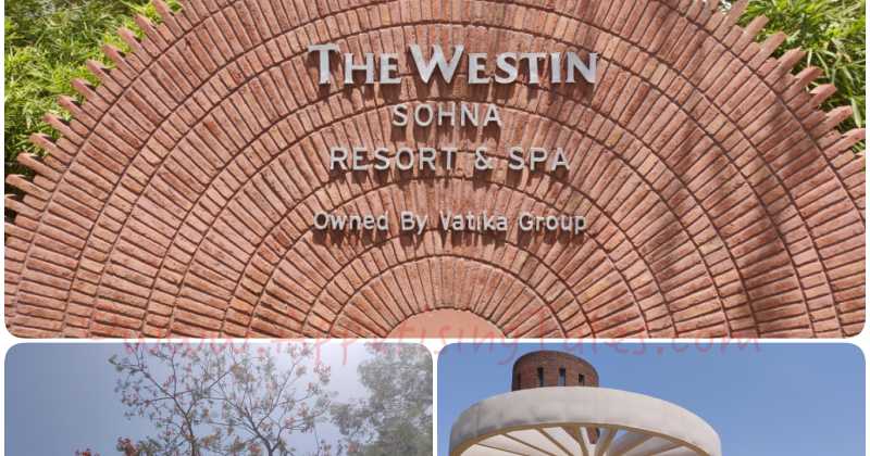 Sunday Brunch | Bookmark This Brunch For A Fun-Filled Family Outing