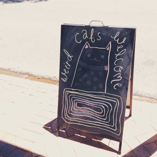 Sunday Brunch At The Ponycat