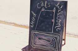 Sunday Brunch at The Ponycat