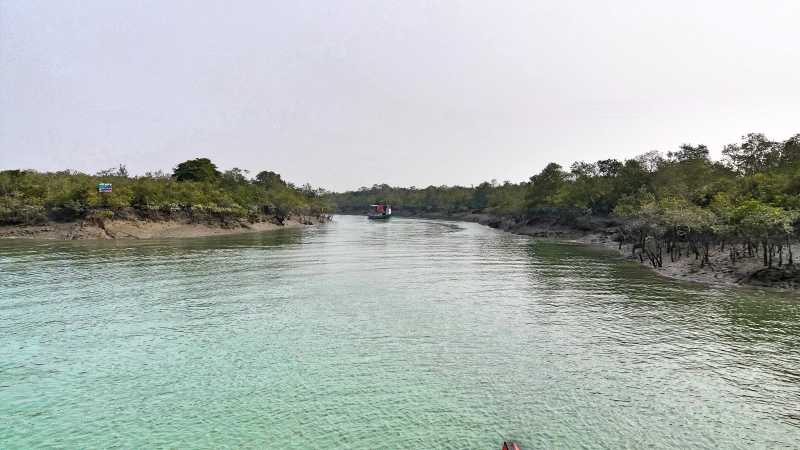 Sunderbans National Park- Is It Worth A Trip? | Travel By Karma