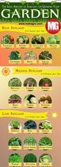 Sunlight Guide For Growing Your Plants Properly