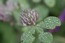 Sunol Regional Wilderness