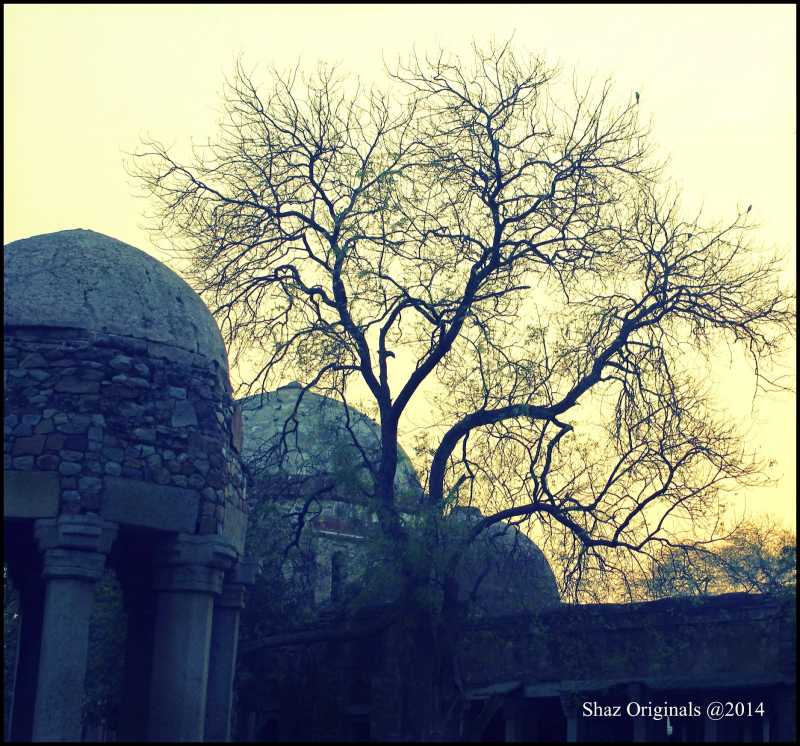Sunset At Hauz Khas