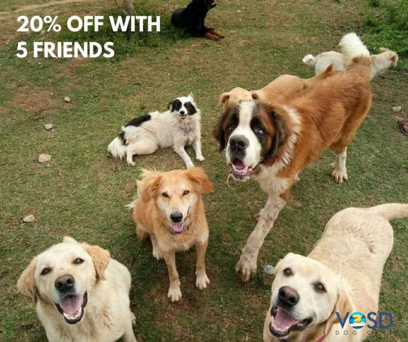 Sunshine In My Heart!