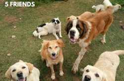 Sunshine in my Heart!