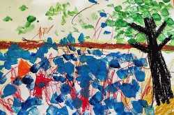 Super foods make Super brains - South Serenity