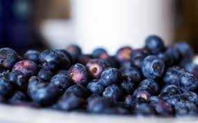 SuperFoodSeries:Blueberry
