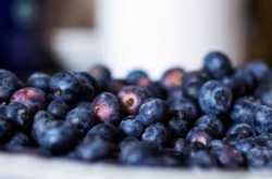 SuperFoodSeries:Blueberry