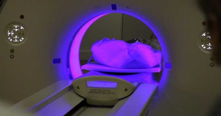 Supernova Remnants: Secret Seeds Of The Galaxy