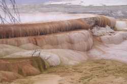 Surreal Yellowstone and Grand Tetons..Part 3