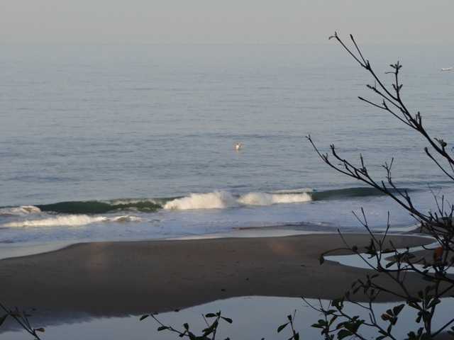 Sustainability Day- 24th October.   An Appeal To Recycle Our Solid Waste Responsibly