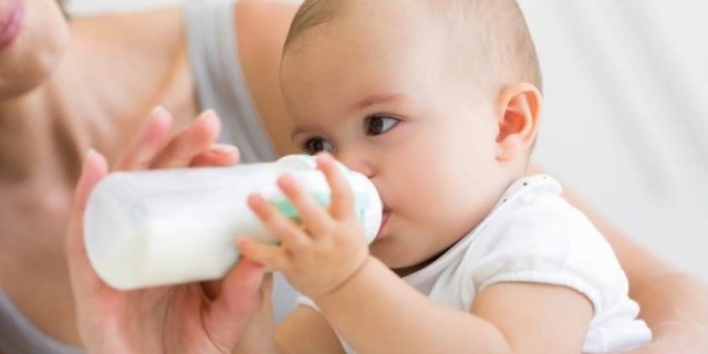 Susu Kambing Etawa Untuk Bayi Dan Balita