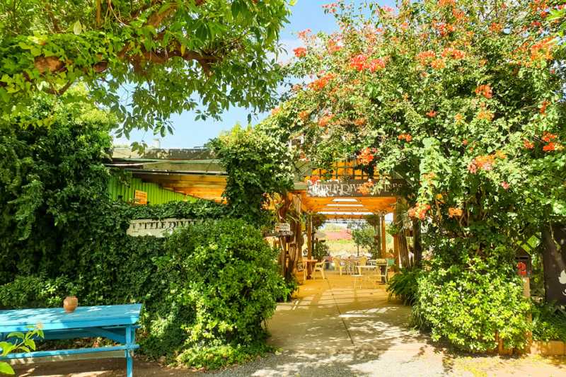 Swan Valley - A Guide To Australia’s First Humane Food Region