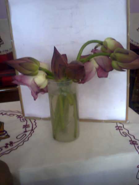 Sweat Or Enjoy -Summer Vacation.