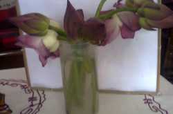 Sweat or enjoy -Summer vacation.