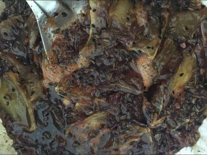 Sweet And Spicy Mango Pickle