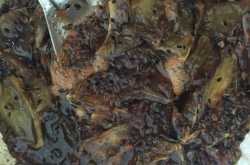 Sweet and Spicy Mango Pickle