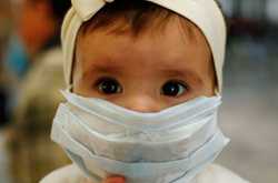 Swine Flu Virus - Symptoms and Treatment