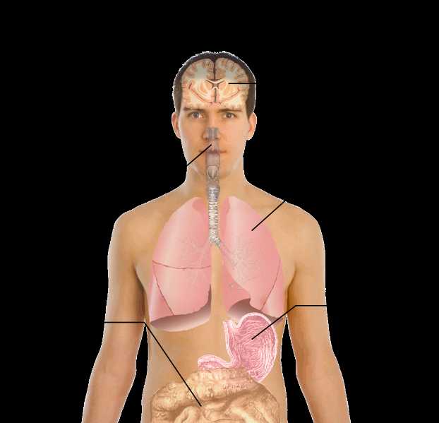 Swine Influenza/Swine Flu Virus - Symptoms, Causes, Vaccines, Affected Areas, Treatment.